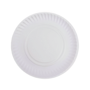Paper Plate- 9 inches